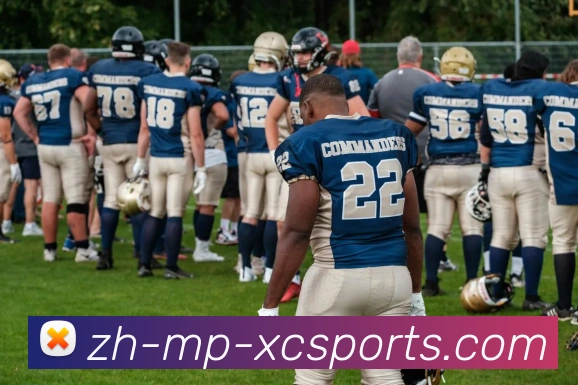 杏彩体育APP 封面图