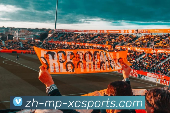 数据防护可视化